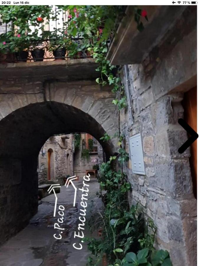 Preciosas Vistas A La Montana, Luminoso Y Acogedor Apartamento El Pueyo de Araguás Exterior foto