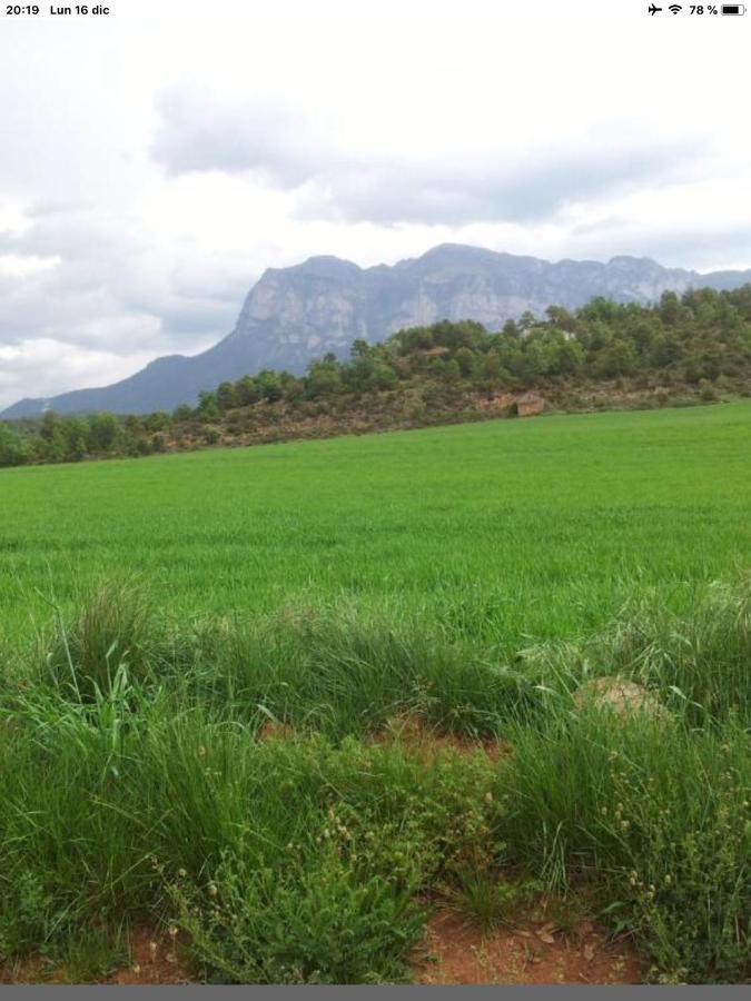 Preciosas Vistas A La Montana, Luminoso Y Acogedor Apartamento El Pueyo de Araguás Exterior foto