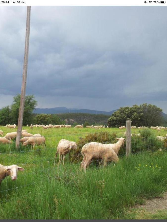 Preciosas Vistas A La Montana, Luminoso Y Acogedor Apartamento El Pueyo de Araguás Exterior foto