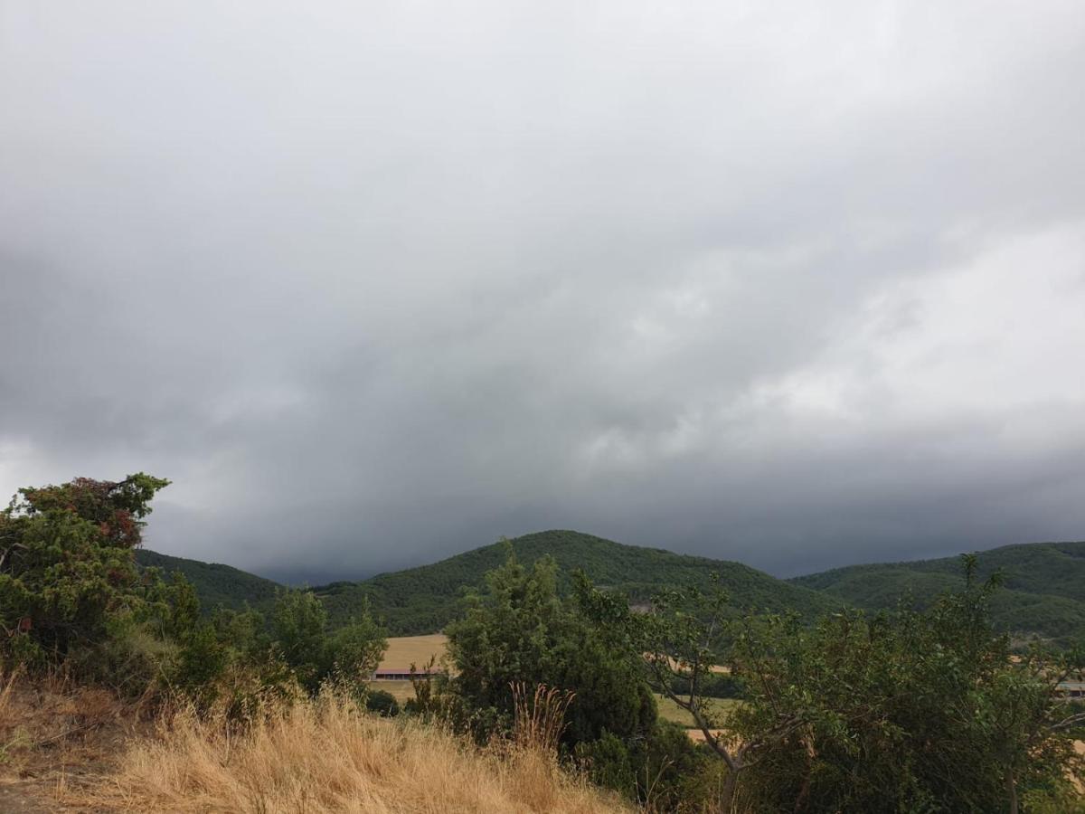 Preciosas Vistas A La Montana, Luminoso Y Acogedor Apartamento El Pueyo de Araguás Exterior foto